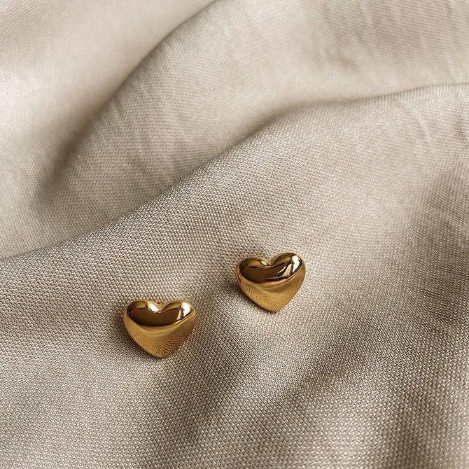 Heys- Anting Titanium Nita Hati Simpel 1054