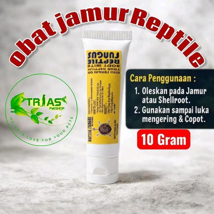 Obat Jamur Kura Kura & Iguana | Reptiles Fungus Anti Jamur Bearded Dragon kura kura air