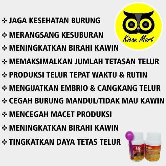 VITAMIN OBAT TERNAK BREEDING BURUNG LOVEBIRD KENARI MURAI KACER WP VIT