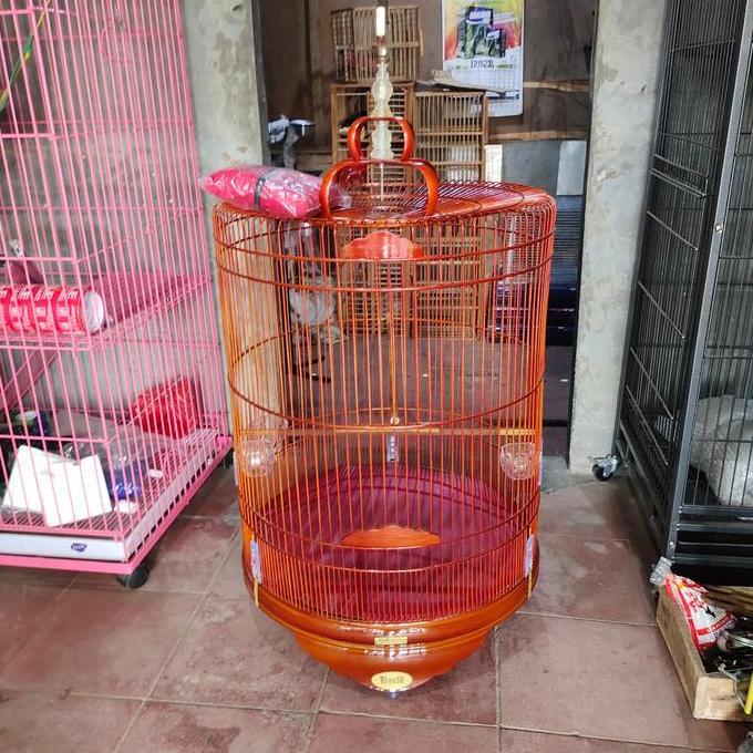 Sangkar Burung Murai Batu Merk Bnr Pvc Reborn