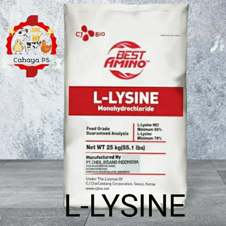 Stok Ready Lysine 1Kg Lisin Asam Amino Hewan