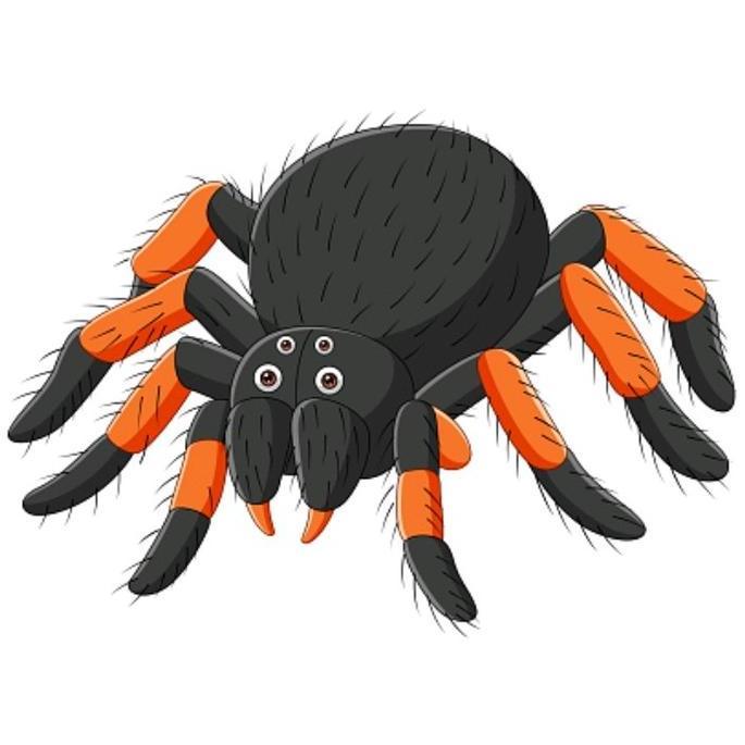 Stiker Tarantula Sling Grammostola Pulchripes size 1-5 ceem