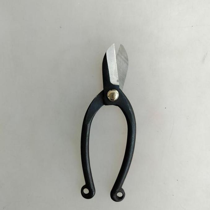 $$$$] gunting ikebana besi gunting bonsai flower scissors model jepang
