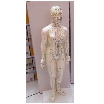 Sora- Patung Akupuntur Model Wanita / Boneka Titik Titik Akupuntur