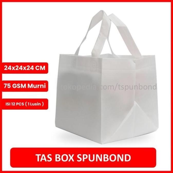 TAS SPUNBOND 24x24x24 / Tas Nasi Kotak (putih) / Tas Besek