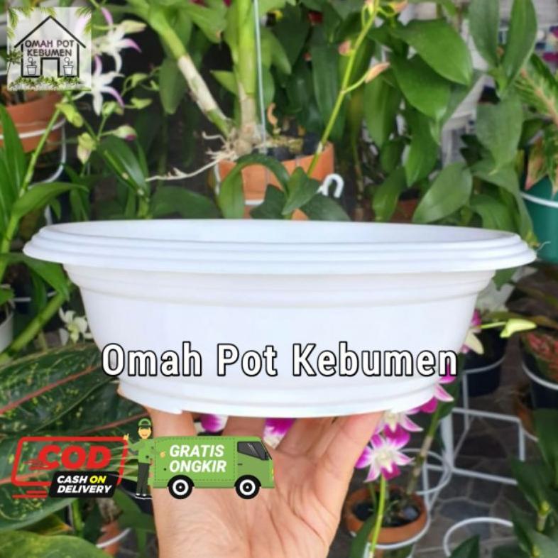 Readyyy POT BONSAI CEPER POT PLASTIK CEPER BONSAI 25CM