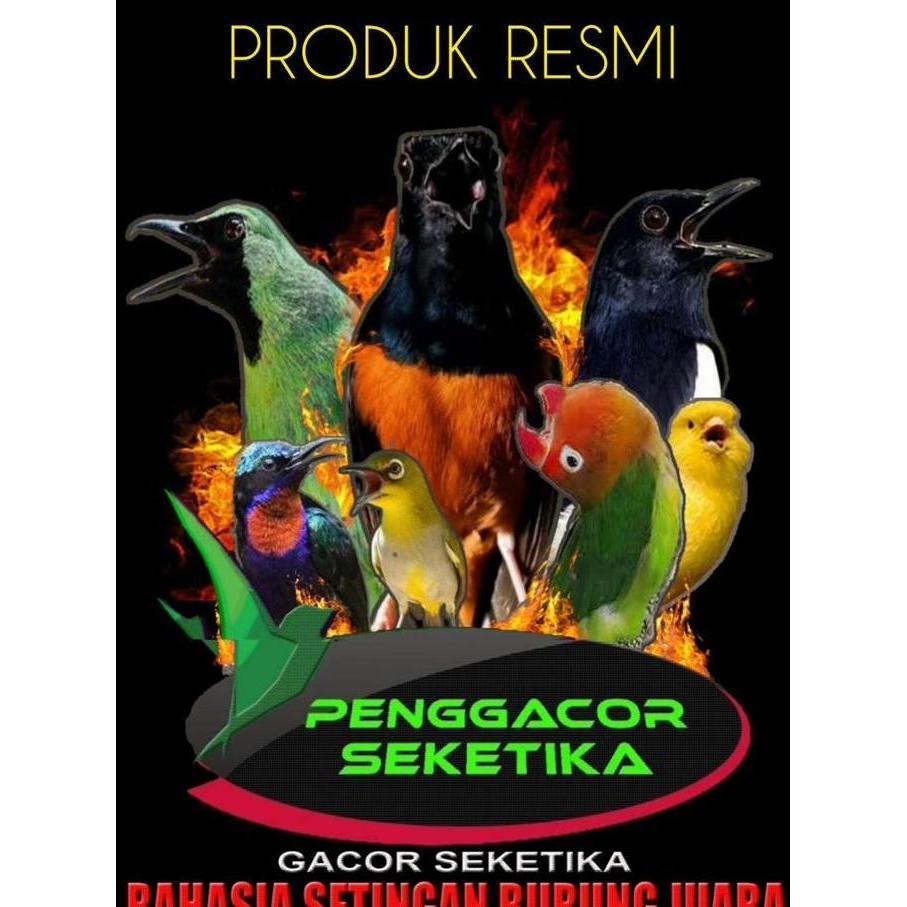 Voer Pakan Jalak Suren Penggacor Burung Vitamin suplemen burung murah