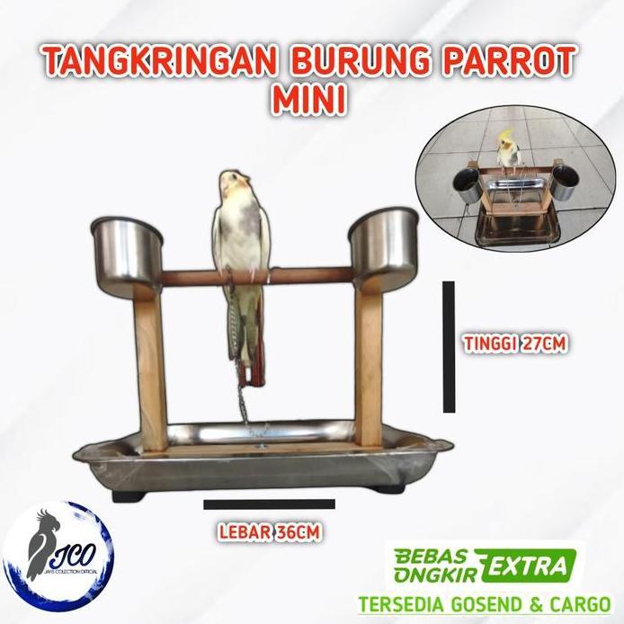 TANGKRINGAN BURUNG PARROT TANGKRINGAN TRAINING BURUNG FALK NURI HANTU murah