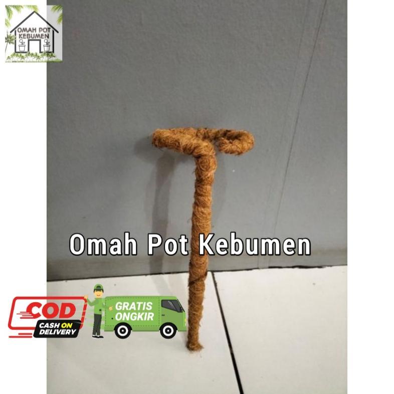 Readyyy Turus Penyangga Batang Daun / Turus Penyangga Tanaman Lumbu-lumbuan