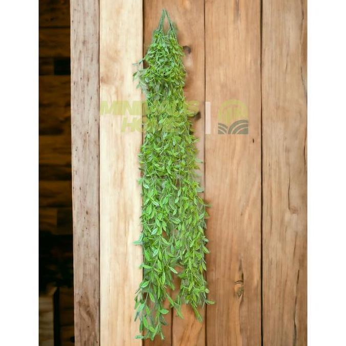 Daun Lee Kwan Yew Juntai Daun Tirai Rambat Artificial Hoya Costa Janda Merana Dekorasi Dinding Monst