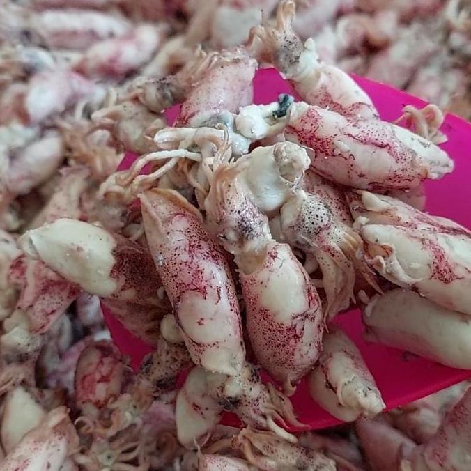 cumi baby asin 1kg/baby cumi asin 1kg