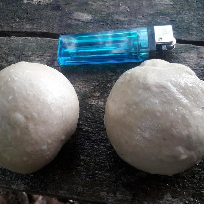 Lem jebakan burung/pulut getah bendo asli