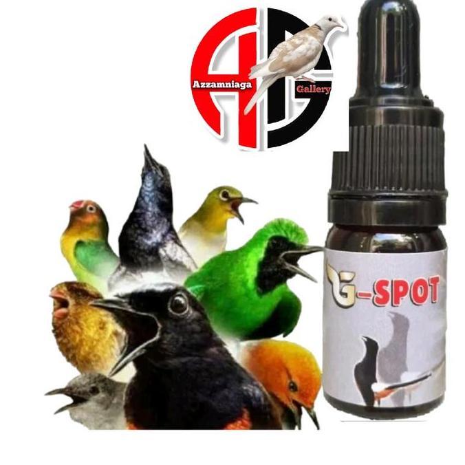 Cod,Bisa- G Spot Metabolisme Penggacor Burung Kacer Burung Murai Cucak Ijo