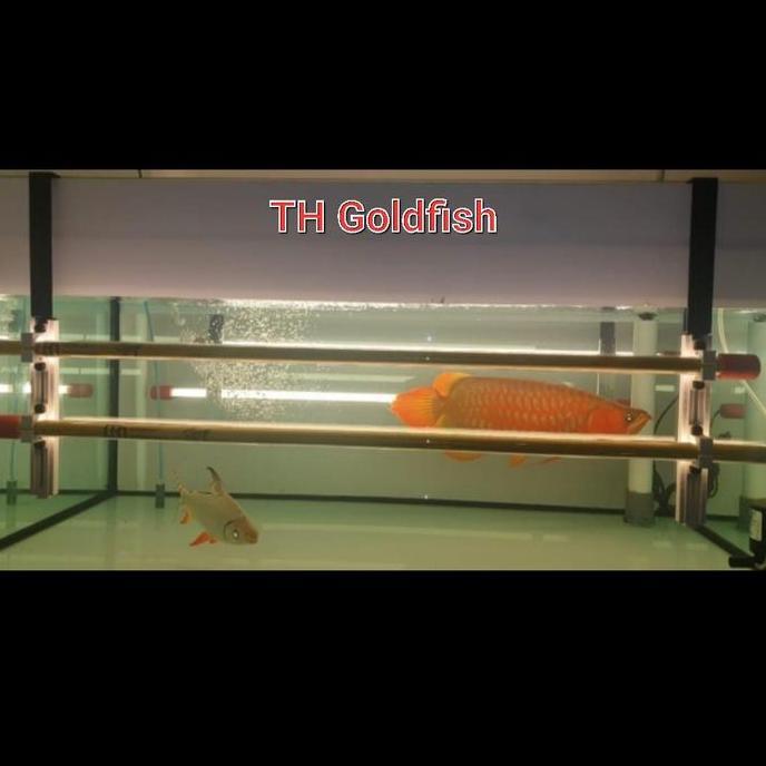 TERMURAH - Mayin Lamp Holder / Hanger Lampu Tanning Led Arwana Aquarium