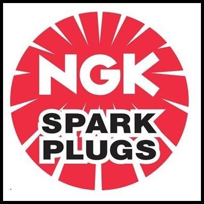 TERLARIS BUSI IRIDIUM LIVINA GRAND LIVINA X-GEAR ASLI ORIGINAL NGK LASER IRIDIUM DF6H-11A 