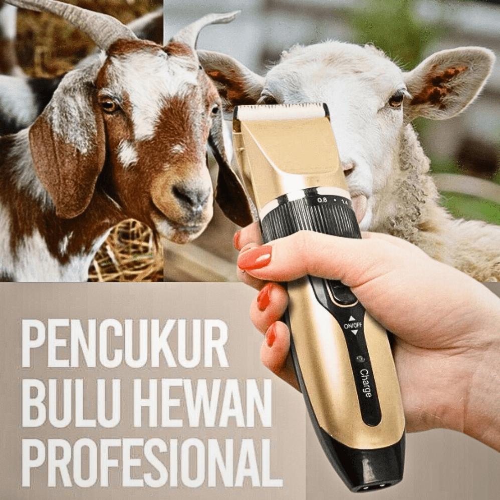 PAKET LENGKAP BaoRun Alat Cukur Hewan Kambing Domba Garut Elektrik / Mesin Cukur Bulu Domba Garut