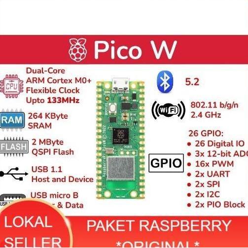 Raspberry Pi Pico W - Wireless