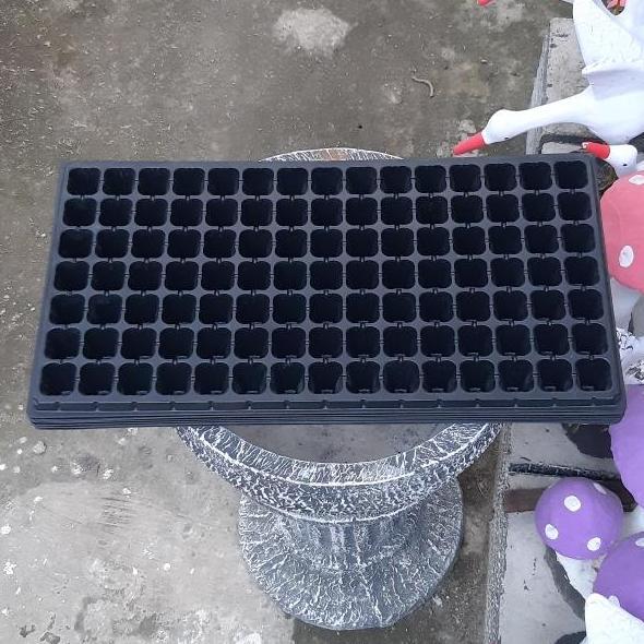 Tray Semai 105 Lubang