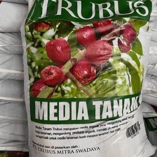 Media tanam trubus