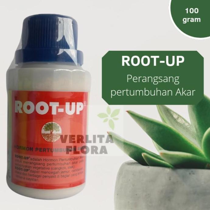 ZPT / Pertumbuhan akar Root Up
