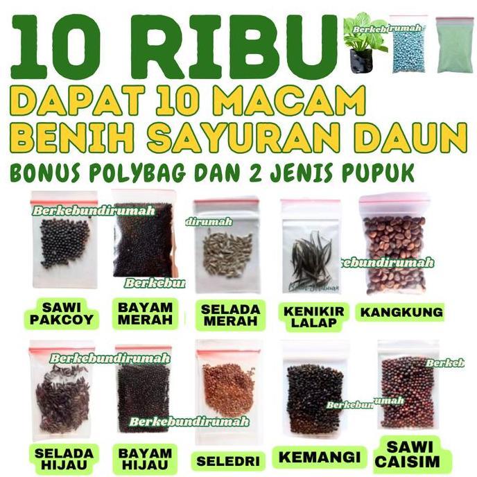 Paket 10 Jenis Benih Sayuran Daun Bibit Sayuran Lengkap 10 Jenis Kangkung  Bayam Hijau Merah Sawi