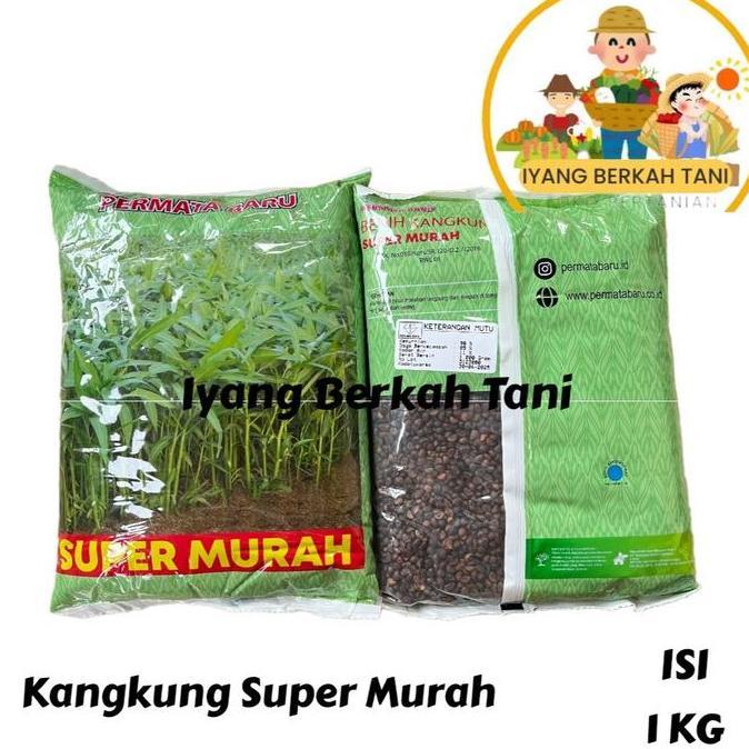 Benih Kangkung Super Murah Kemasan 1 KG - Bibit Kangkung 1 KG