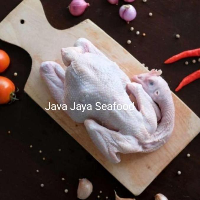 Ayam Pejantan / Ayam Panggang / Ayam Kampung