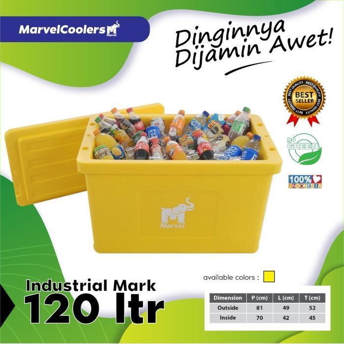 Cooler Box 120 L Liter Es Ice pendingin minuman cool Seafood kotak