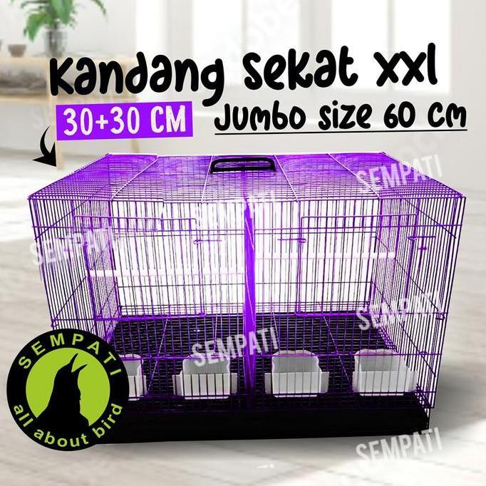NEW - SEMPATI Sangkar Kandang Umbaran Sekat 60x40x40 Sangkar Ternak Burung Lovebird Kandang Hewan Ku