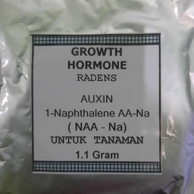 AUXIN NAA-Na ZPT Root Hormon Akar Larut Air