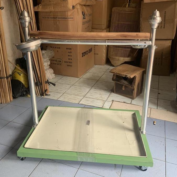 CASHBACK - tangkringan burung kakatua nuri