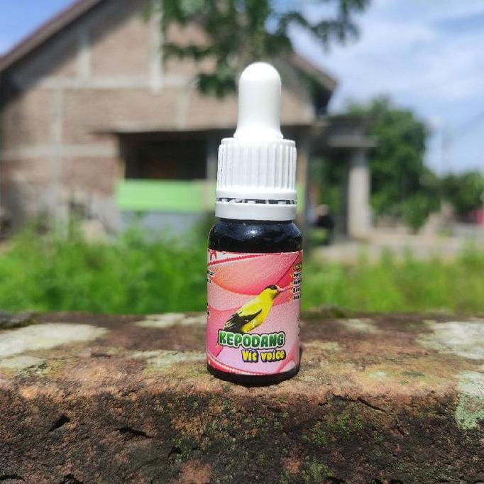 STOK TERBATAS - kepodang vit voice vitamin premium burung kepodang , 100 % josss, gacor  kepodang vi