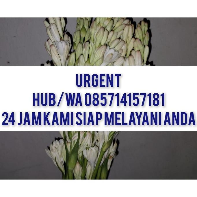 Kendi jamu / teko tanah liat