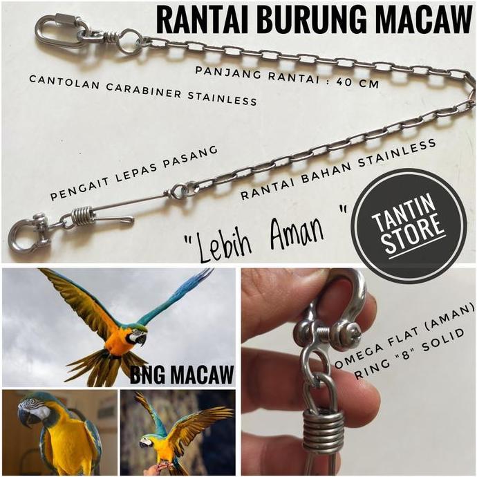 HARGA SAHABAT - Rantai Stainless Burung Macaw Macau BNG