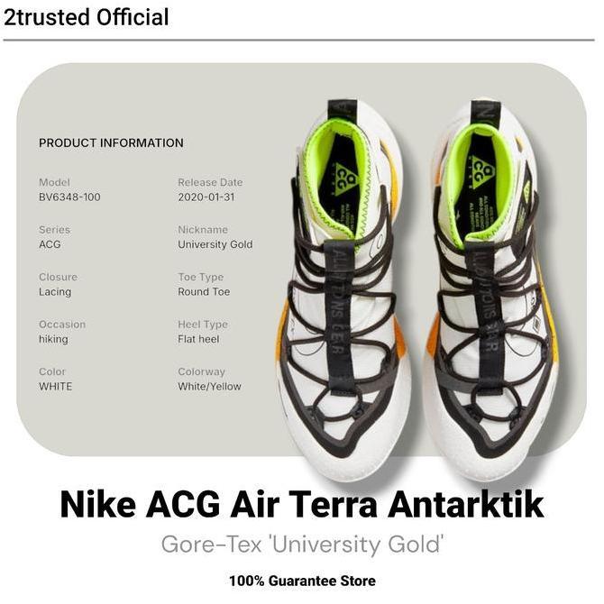 Ready Nike ACG Air Terra Antarktik Gore-Tex 'University Gold'