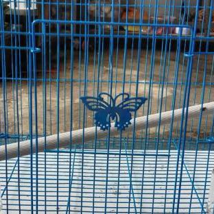 Kandang Kucing Kandang Burung Boom Kandang Umbaran