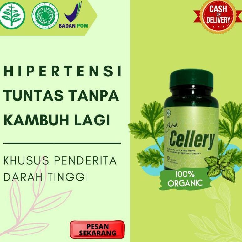 (Terbaru) CELLERY Obat Darah Tinggi CELLERY Herbal CELLERY Obat Hipertensi (Terlaris)