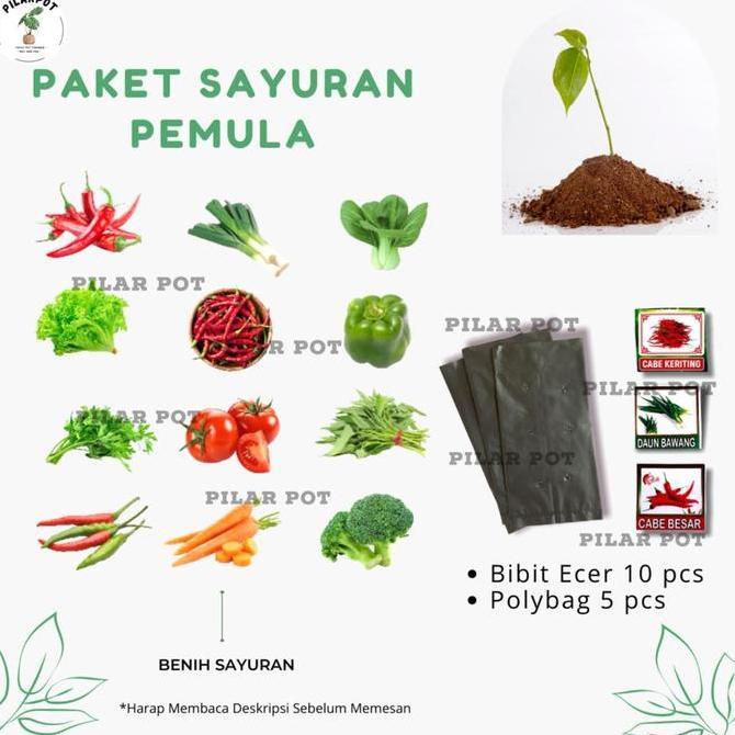 BENIH BIBIT PAKET SAYURAN PEMULA ISI 10 BIBIT - PAKET SAYURAN PEMULA