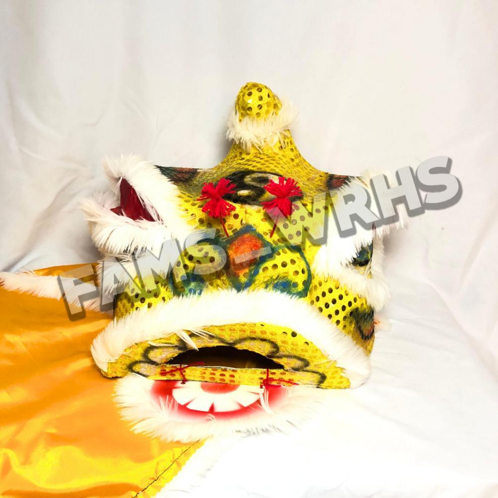 Barongsai Anak Dewasa Bahan Karton Tebal Kokoh Barongsai Kedip Fm -29