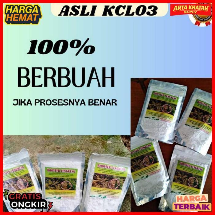 Booster Kelengkeng Cepat Berbuah, Booster Kelengkeng Kclo3 Murni,  Booster Kelengkeng Murni