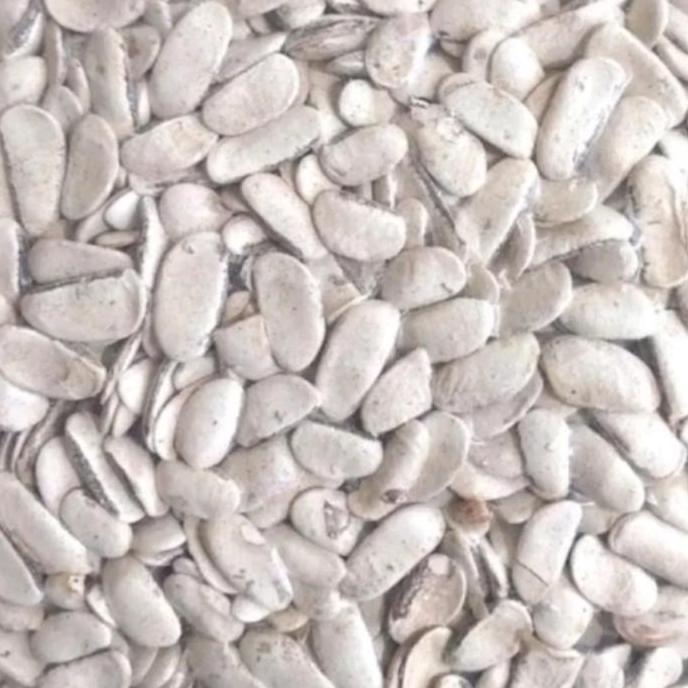 Biji Mahoni Kupas 500 gram - Biji Buah Mahoni Kupas