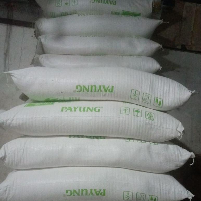 Sale Tepung Terigu Cap Payung ( 1 Karung )