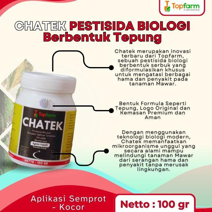 Ready  Obat Semprot Bunga Mawar - Pestisida Chatek Khusus Bunga Mawar - Obat Pembasmi Hama Tanaman M