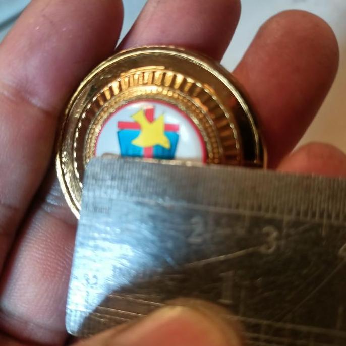 New  Pin Magnet Logo Custom, Pin Jas