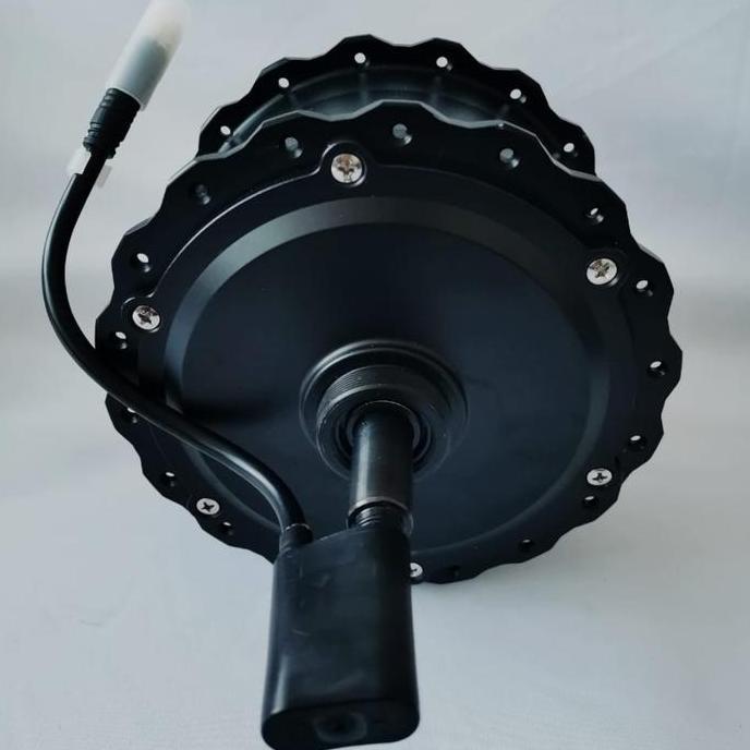 NEW Dinamo 1000w lankeleisi Xt750 Plus