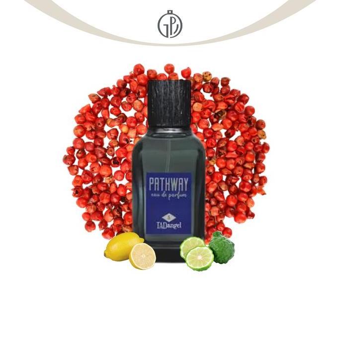 NEW PARFUM TAD ANGEL BY AFNAN PATHWAY FOR MEN EDP 100 ML ORI