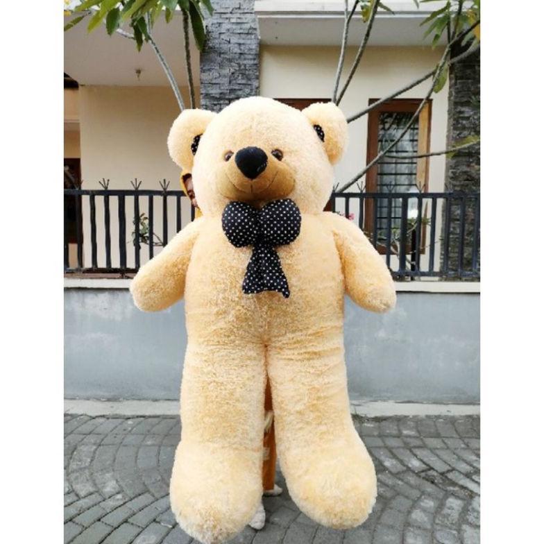 Flash Sale Boneka Beruang Panda Jumbo Besar 1.2 Meter Dan Boba Jumbo Led Lampu Label Sni