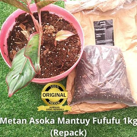 NEW MEDIA TANAM METAN MANTUY ASOKA *FUFUFU* 1KG REPACK 1 KG #NOBRANDPLANT ORI
