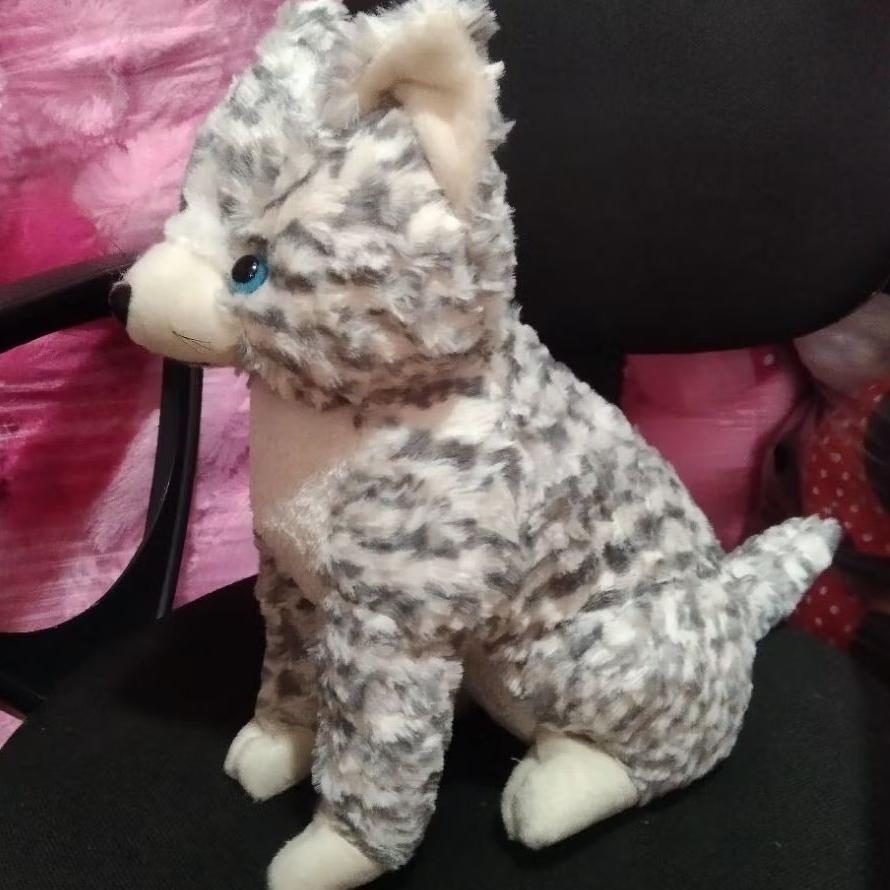 Termurah  Boneka Kucing Belang Persia Anggora Size L Abu Duduk Bahan Premium Halus Dan Lembut Set Ha