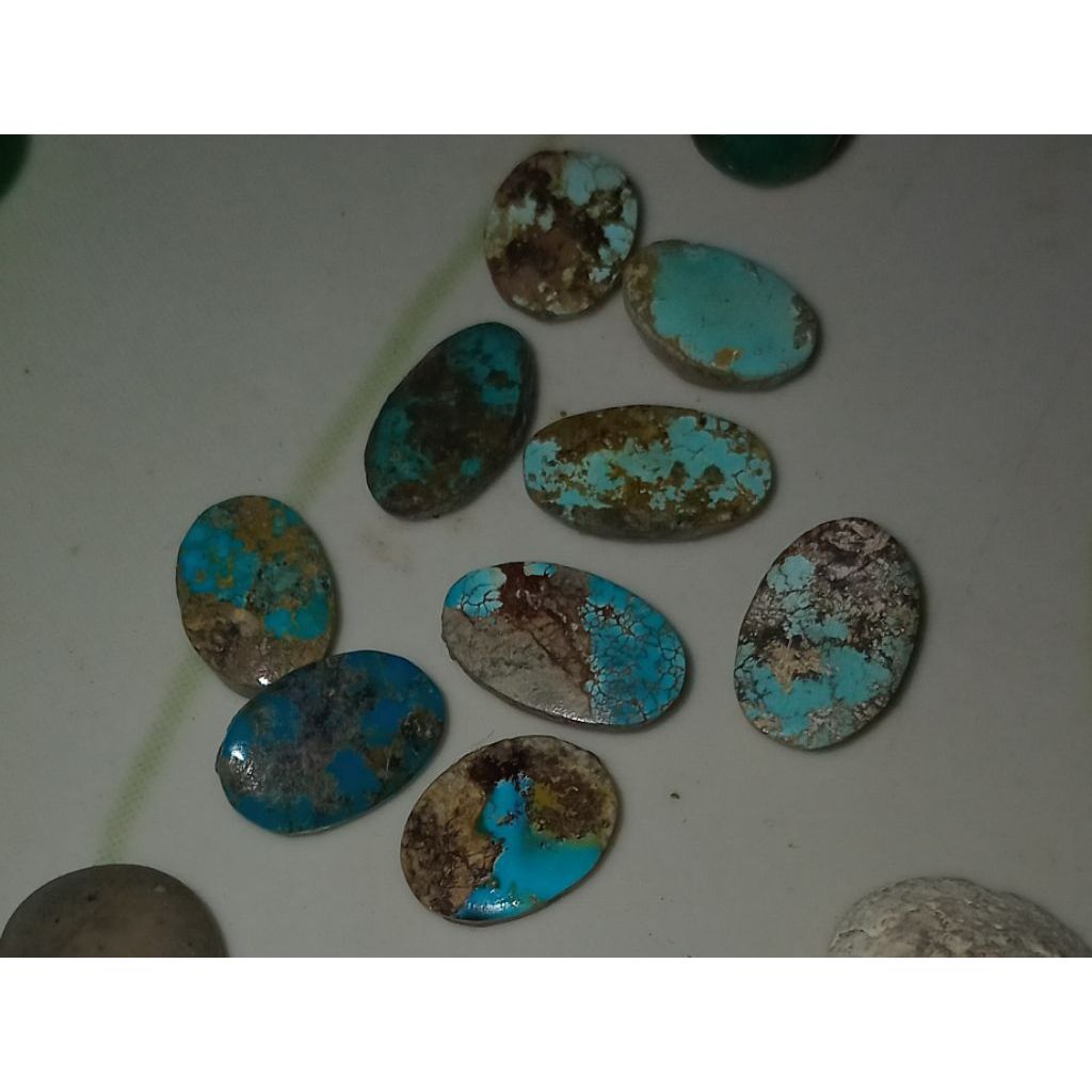 losstoon pirus persia mini natural